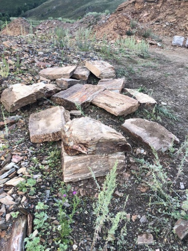 Плитняк кора дерева 50-100мм для пошаговых дорожек купить в Петрозаводске